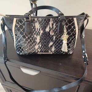 Brahmin Mini Asher Chianti Sonatina with Gold Hardware